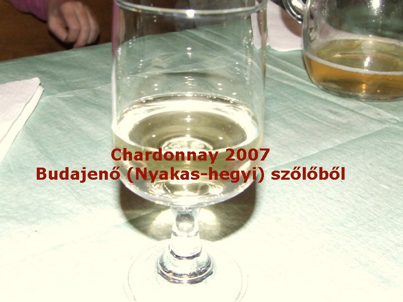 Kerék 2007 bor_1