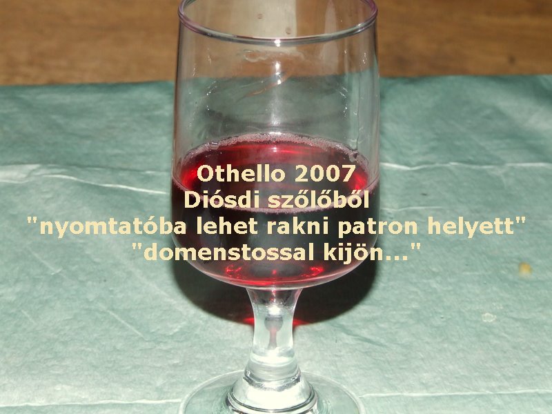 Kerék 2007 bor_4