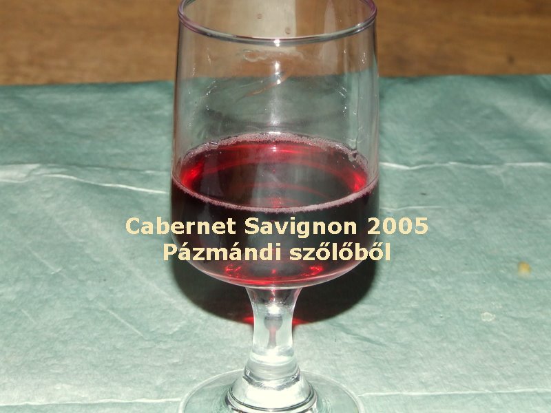 Kerék 2007 bor_7
